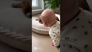 Peeking from Right Beside.A Baby Curiously Watching a Sleeping Cavalier Puppy screenshot 5