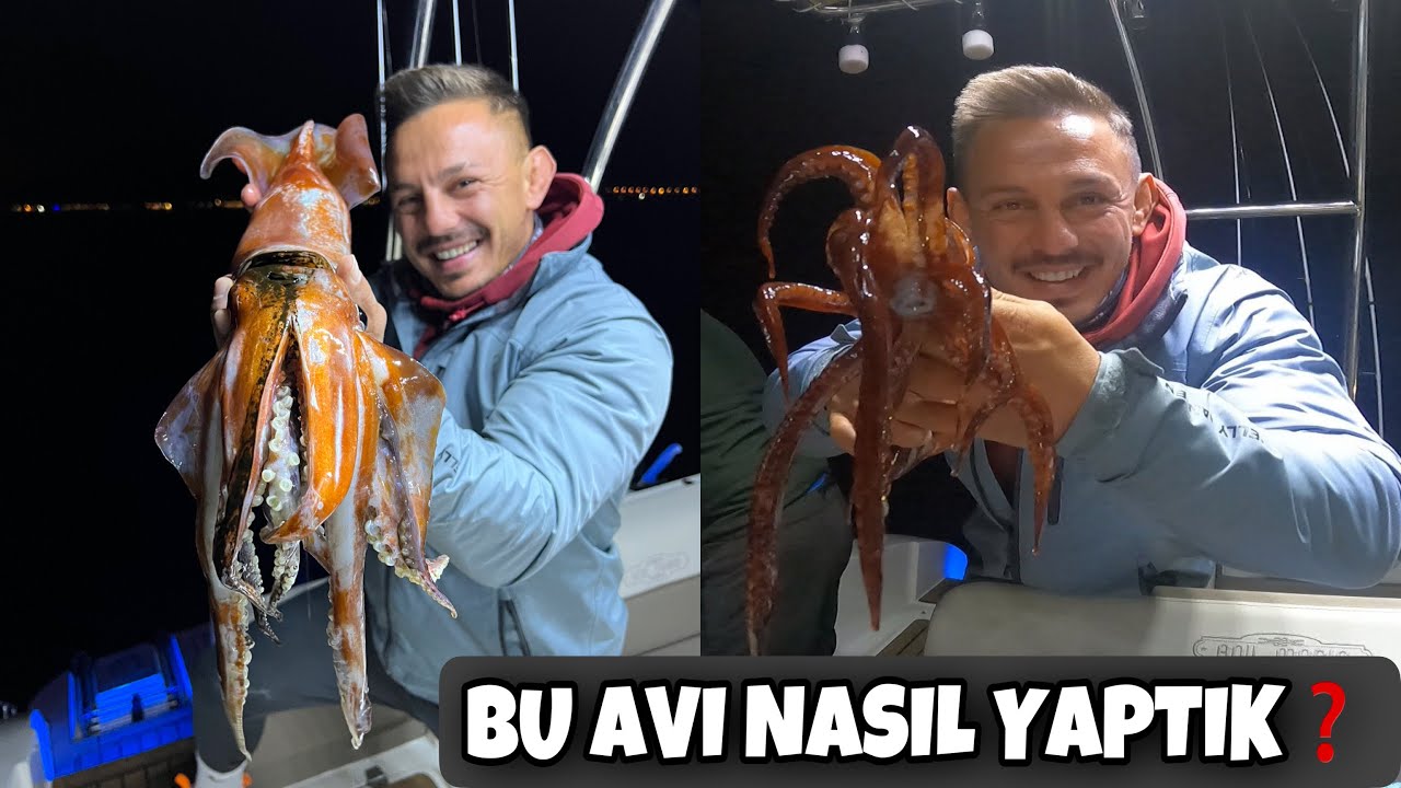 Dev Kalamarlar Yakaladık! Eşşek Kalamarı (Todarodes Saggitatus)