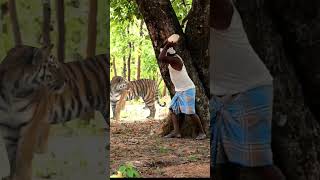 Sidee Kaga Badbaaday Shabeelkan