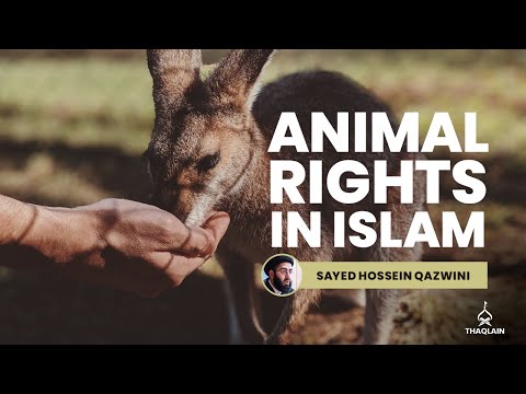 DAY 67: How Animals Rights Are Protected In Islam? | Sayed Hossein Qazwini