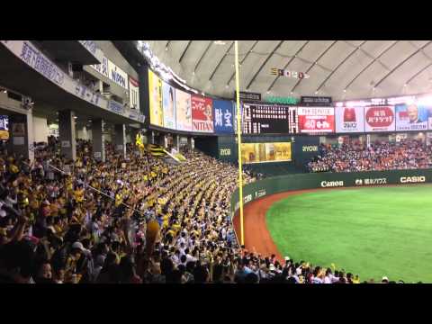 関本の代打逆転満塁ホームランで勝利後の六甲おろし（2014年7月13日勝利後）
