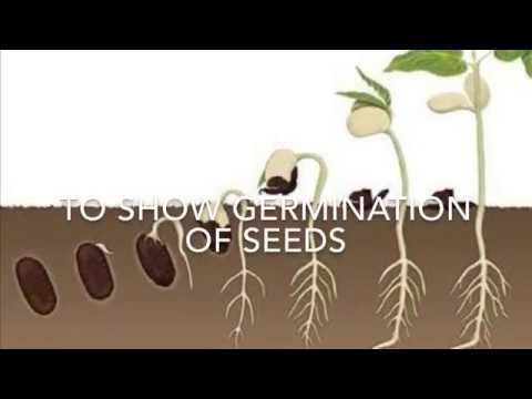 Class 6 Lab Manual - YouTube