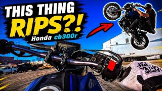 Can a 2021 Honda CB300R Actually Wheelie? Let’s find out! #honda #cb300 #motovlog 