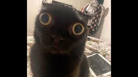 CLONE HERO (OBS STREAM)