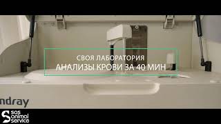 Срочные анализы крови собаке или кошке. Срочные анализы крови собаке или кошке.
