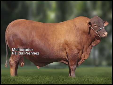 LOTE 70   PARANOA 0328