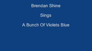 A Bunch Of Violets Blue ----- Brendan Shine + LyricsUnderneath chords