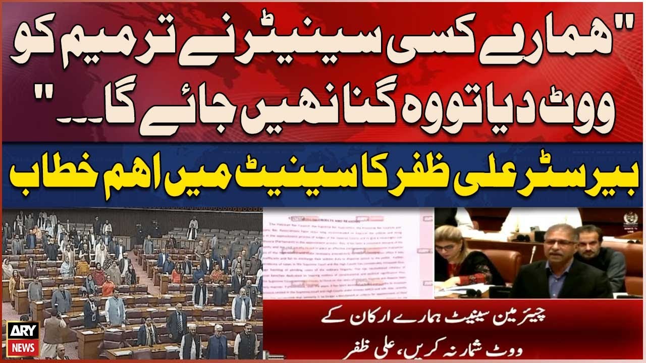 Constitutional package: Barrister Ali Zafar asks Senate chairman to not consider vote of PTI leaders