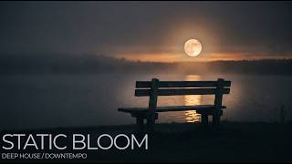 Static Bloom