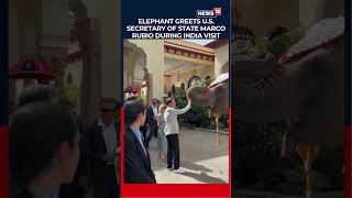 Marco Rubio and US Ambassador Receive Traditional Welcome in Rajasthan | N18S