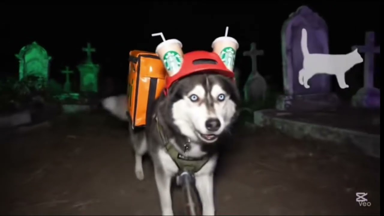 FIRULAIS entrega delivery a media noche en el CEMENTERIO de TEPELLISCO 💀🐺 