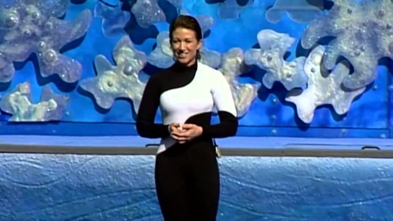 Believe The Complete Shamu Show at Sea World YouTube