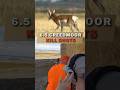 6.5 CREEDMOOR KILL SHOTS ❗️