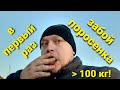 Как правильно забить свинью ? Хряк более 100 кг