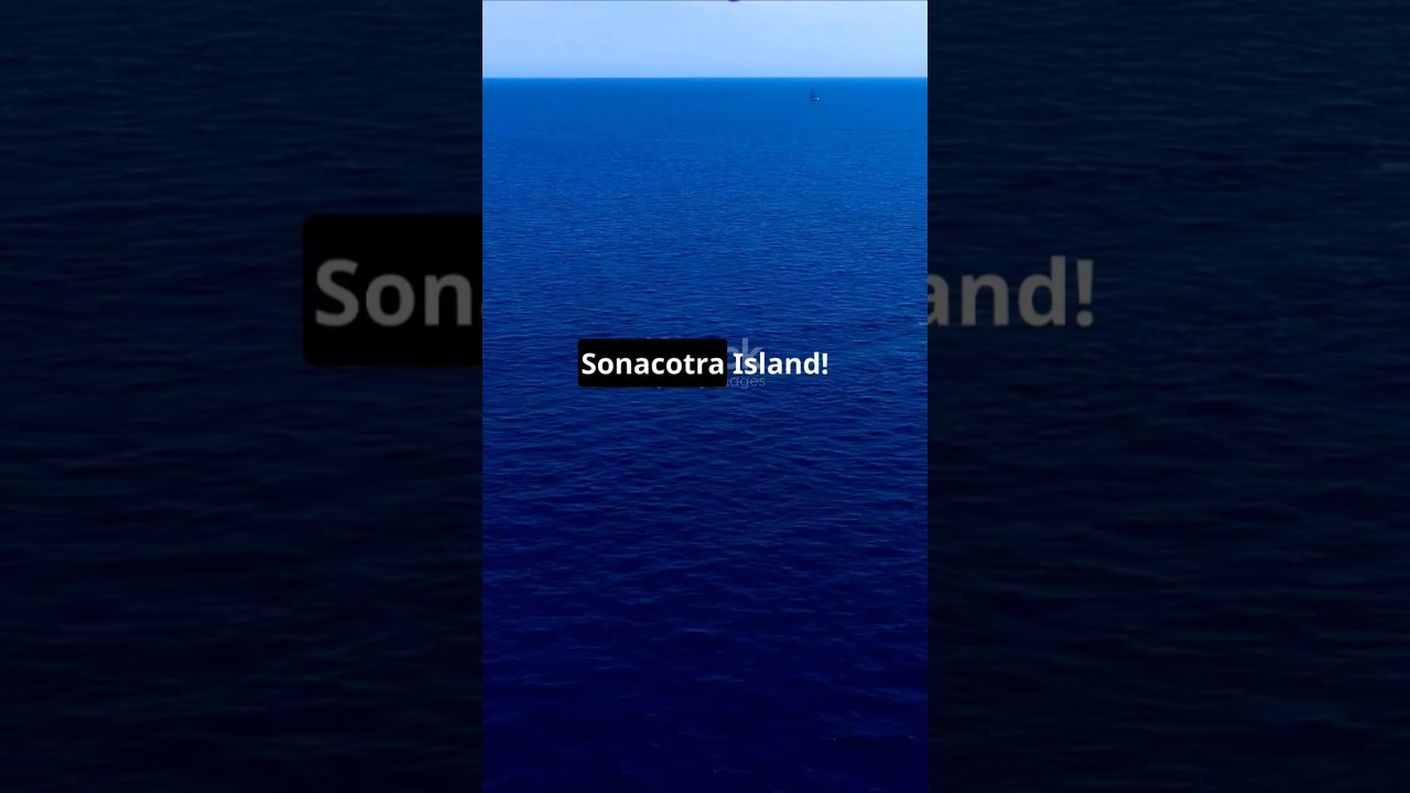 The Unique Flora and Fauna of Sonatrach: A Journey Through Its Biodiversity 