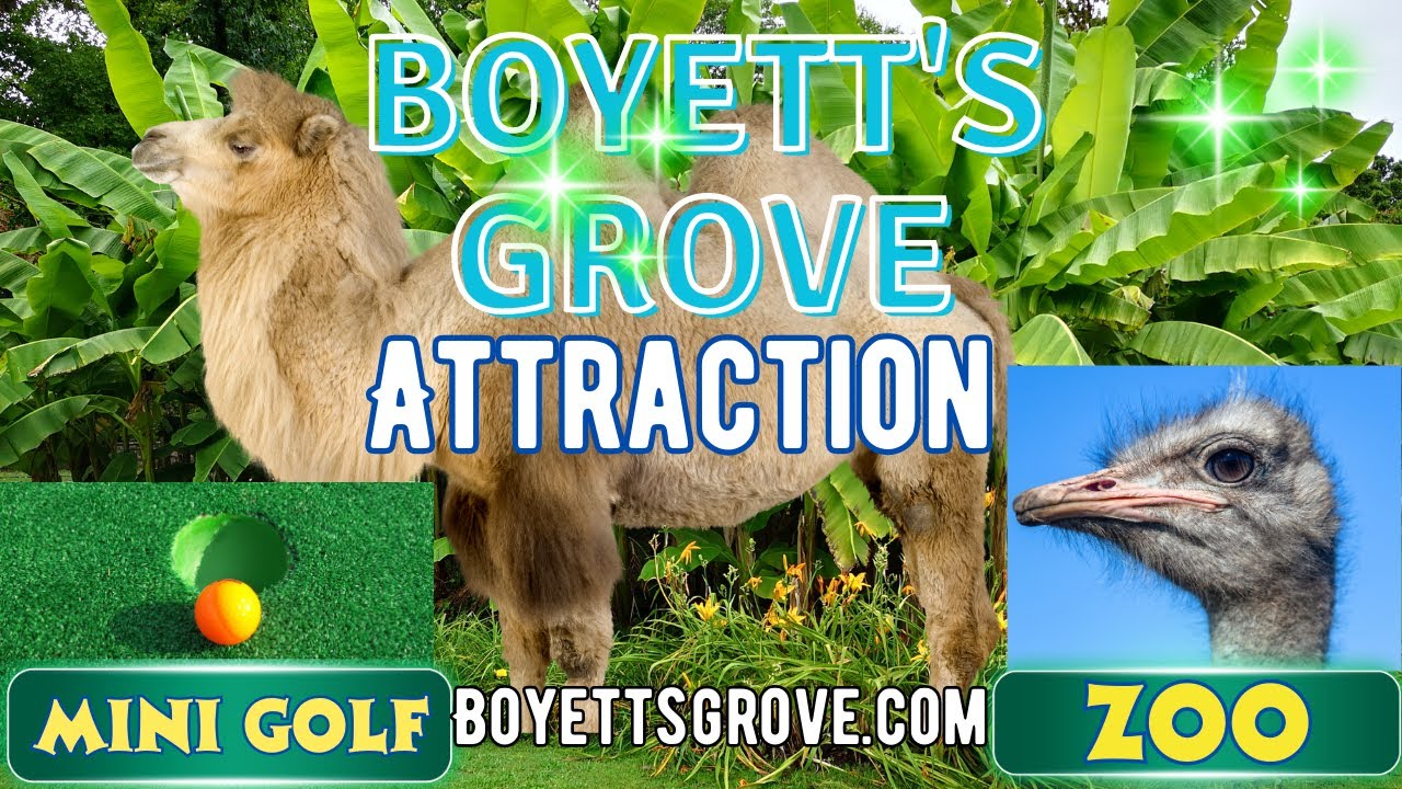 BOYETT'S GROVE ZOO AND MINI GOLF IN BROOKSVILLE, FLORIDA YouTube