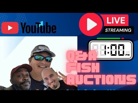 FISH AUCTIONS