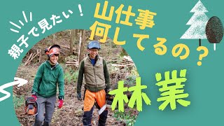 親子で見てほしい！「林業」という働き方