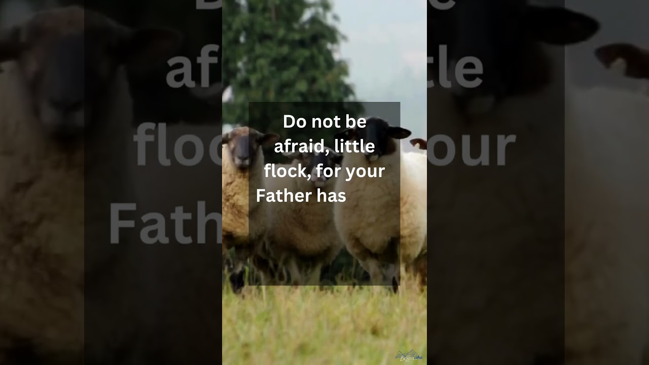 Bible Verse-Do Not Be Afraid