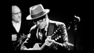 Elvis Costello - The Element Within Her chords