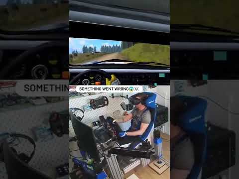Dirt Rally Crash😱