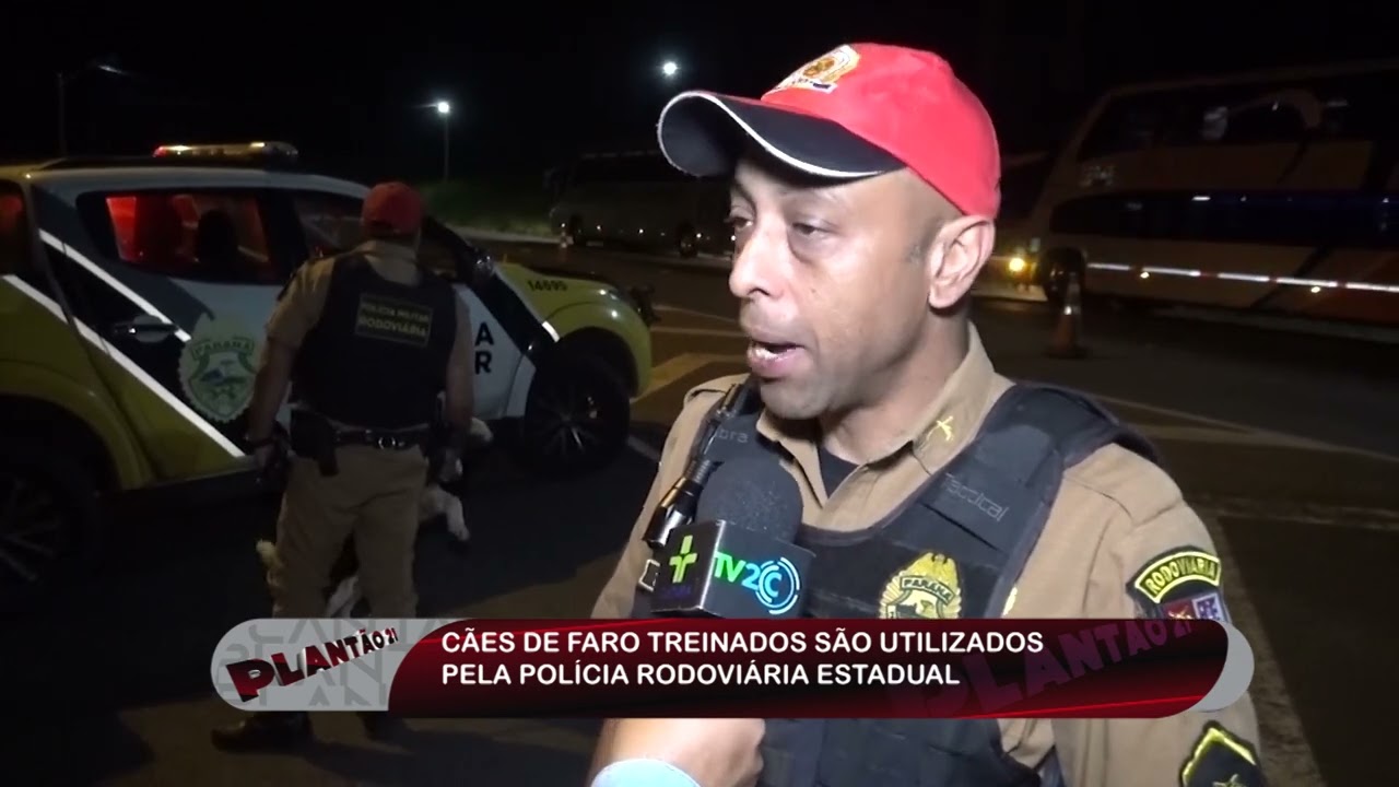 Soldado Graciano treinador dos cães de faro da PRE