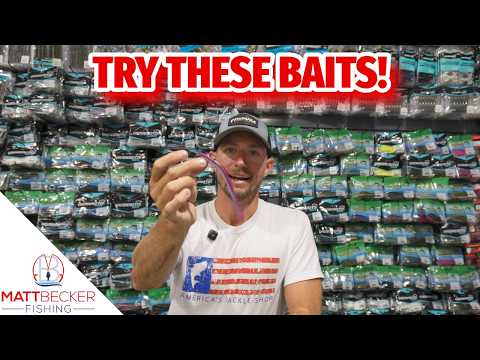 THESE are THE BAITS to THROW in OCTOBER!