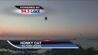 Spider on weather cam suffers unfortunate accident