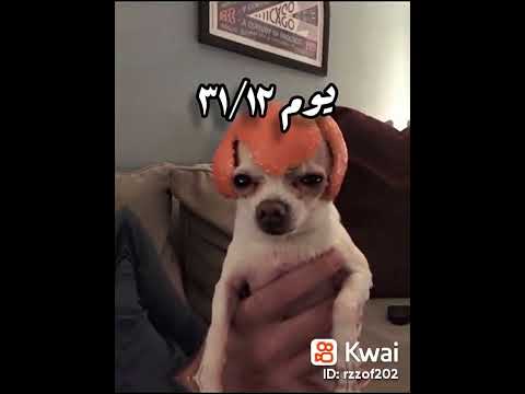 انا موبايلي لو مرنش يوم١٢ ٣١ لايك وفولو