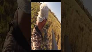 Bush Pig and the Spear Hunter.