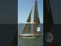Meet DMG MORI Global One - the new IMOCA of DMG MORI Sailing Team! 😍🔥 #shorts #reels #sailing
