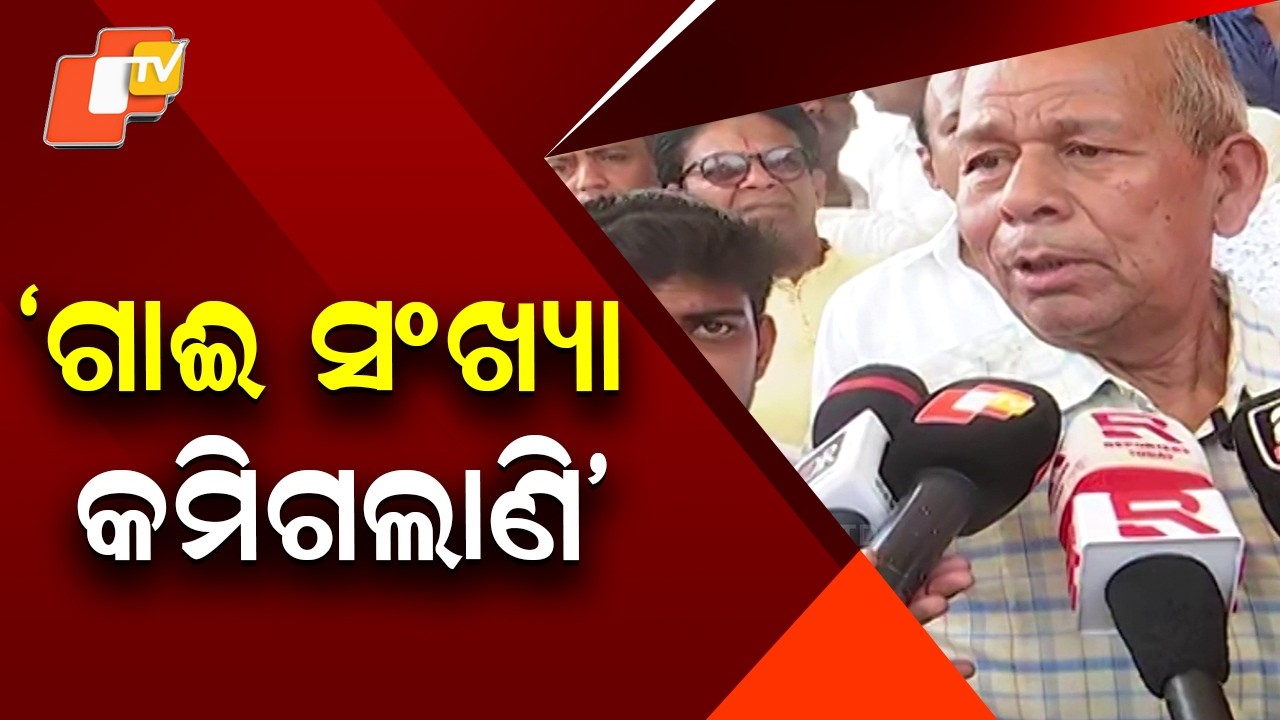 “Build Goshalas in Every Panchayat”: Demand as Cow Numbers Decline