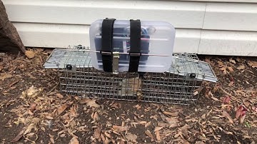 DIY Remote Trigger for Animal Trap
