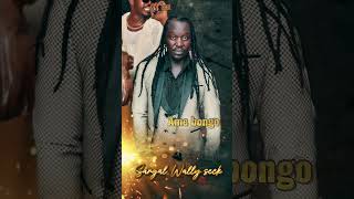 Download Lagu Ame Bongo - Sargal Wally Seck (Audio) MP3