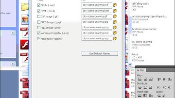 Publishing Flash files