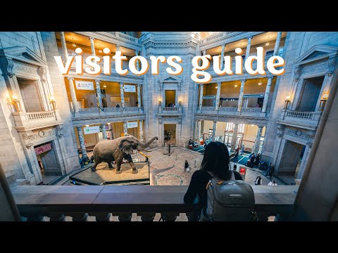 Video: Mappa e indicazioni dei musei Smithsoniani