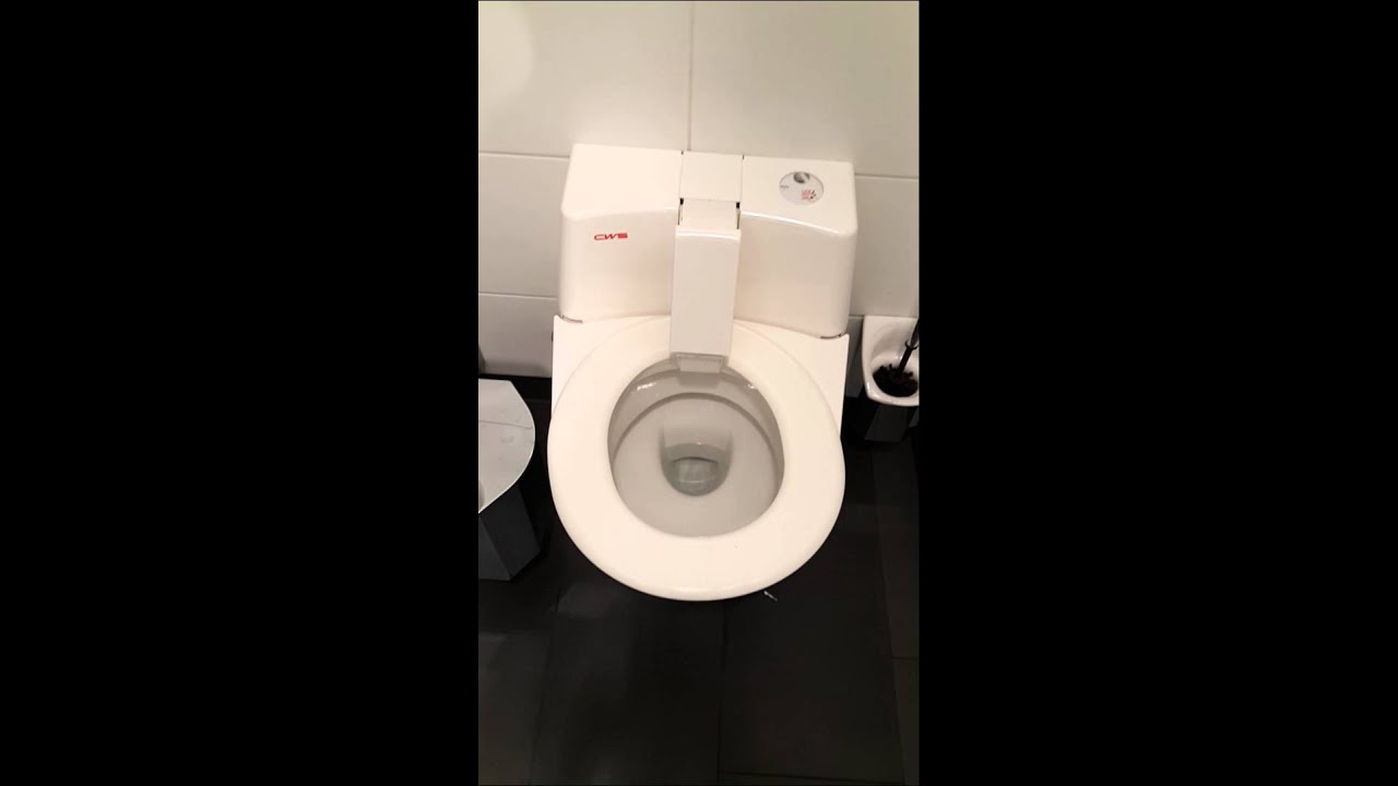 Cleaning toilet in germany 2014 YouTube