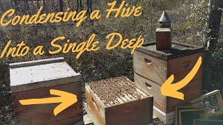 Reducing hive for better overwintering. Package vs Nuc.