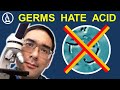 BACTERIA vs ACID: who wins? Bacteria under the microscope