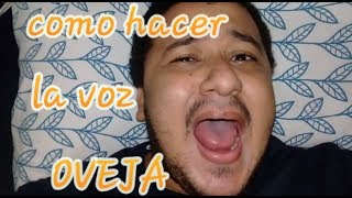 COMO HACER LA VOZ DE UNA OVEJA VIDEO TUTORIAL