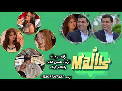 اغنيه وكاله روج أفا اسود برنامج مجلس الوكيل شمس الدين وكينك طناخه ودولار الفنان الخال اسكندر