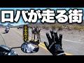 【危険】ラスベガス直前気温41℃のロバ頻出地域が酷道すぎてガチで事故りかけた【アメリカ横断旅#13】