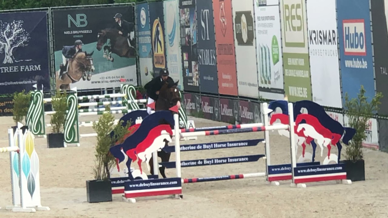 Gullit HBC. Kwpn Approved Stallion. Cantos x Namelus. 2011. 1.40/45 Mts. Final-JO. CSI Bonheiden.