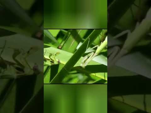 выходит за рамки