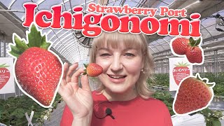 Strawberry Picking Facility at the Gateway to Japan! by WAO RYU!ONLY in JAPAN 6,034 views 1 year ago 14 minutes, 27 seconds