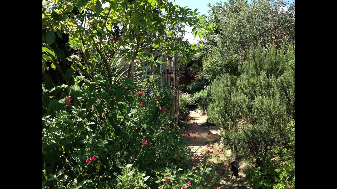 ハーブガーデン紹介8月秋植えの準備～自然のハーバルライフ～HERBJapanese Herb Garden Gardening YouTube