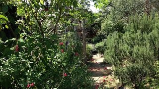 ハーブガーデン紹介８月秋植えの準備 自然のハーバルライフ Herb Japanese Herb Garden Gardening Youtube