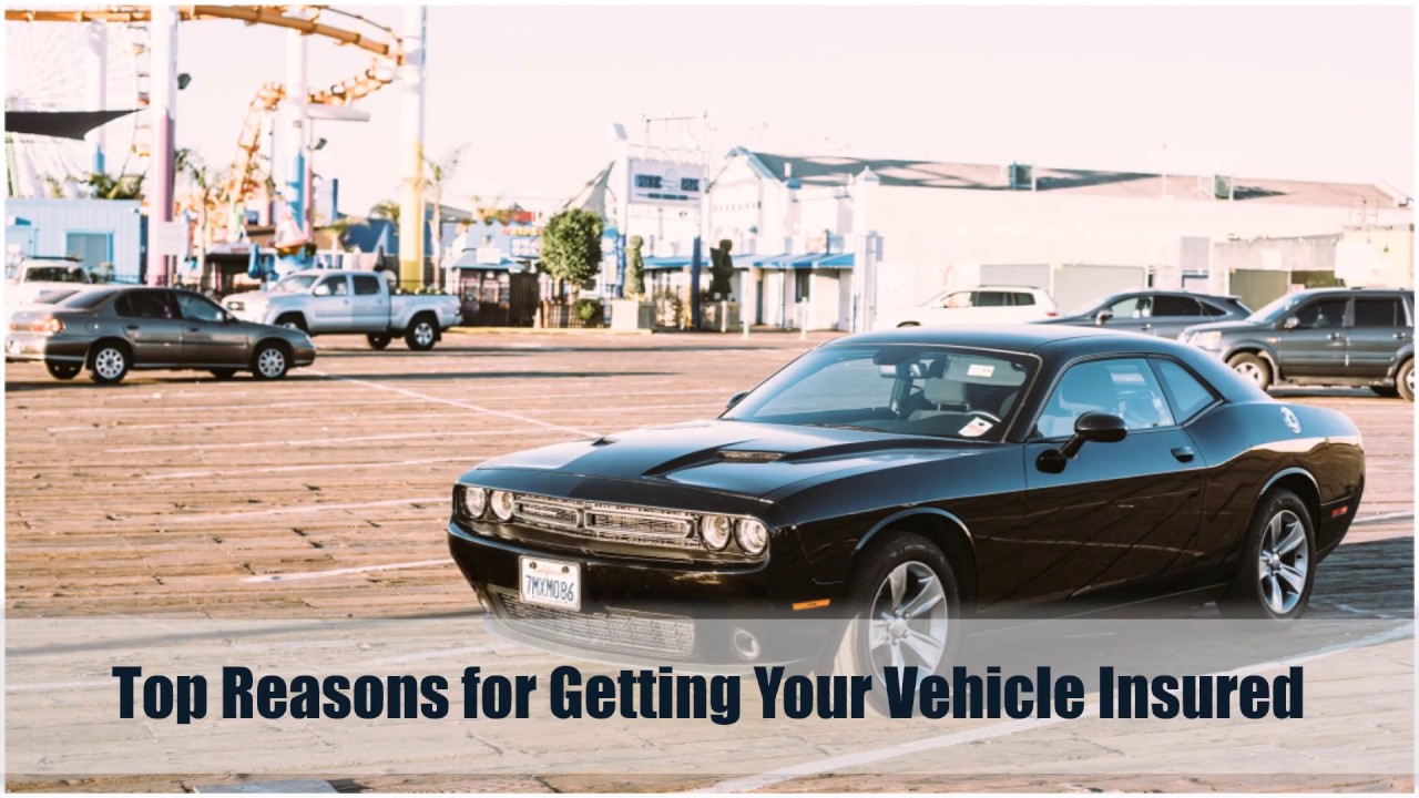 Top Reasons for Getting Your Vehicle Insured YouTube