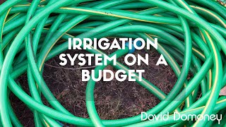 How to create your own garden irrigation system on a budget
