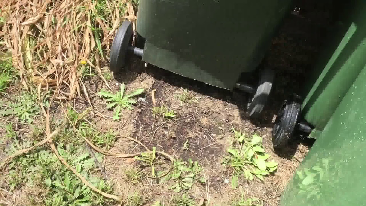 All my bins from Maroondah! YouTube